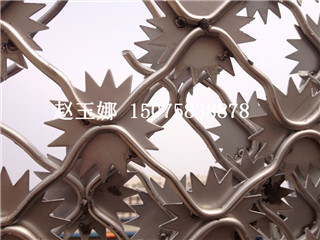 梅花刺片美格網(wǎng)