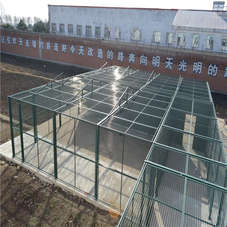 監獄隔離網